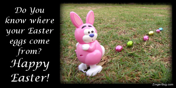 Click to get the codes for this image. This cute greeting features a photograph of a plastic bunny with a surprised look on its face. Behind the bunny is a trail of candy eggs in the grass. The caption reads: Do you know where your Easter eggs come from? Happy Easter!