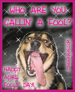 Click to get the codes for this image. Who Are You Callin Fool? Funny April Fools Day Dog, April Fools Day Free Image, Glitter Graphic, Greeting or Meme for Facebook, Twitter or any forum or blog.