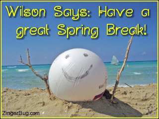 Click to get the codes for this image. This cute photo shows a volleyball sitting on the beach with a smiley face drawn on in. The comment reads: Wilson Says: Have a great Spring Break!