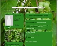 Click to browse more Nature MySpace Layouts. This layout features a close up photo of a bunch of green grapes on the vine.